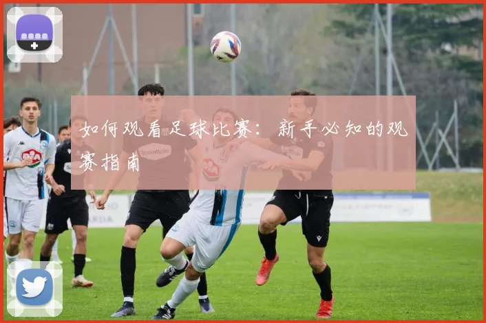 如何观看足球比赛：新手必知的观赛指南