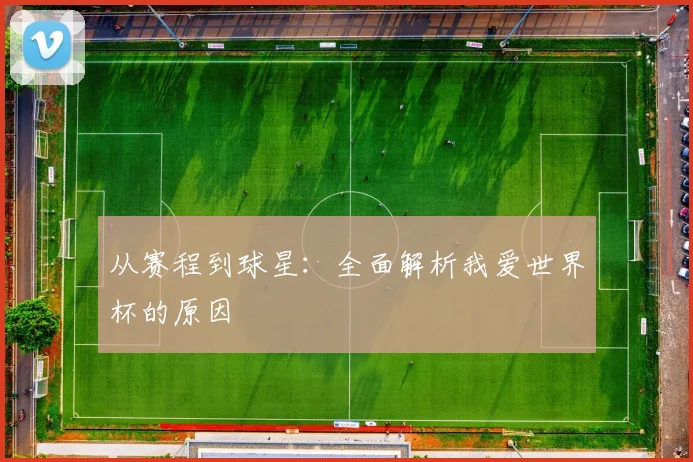 从赛程到球星:全面解析我爱世界杯的原因