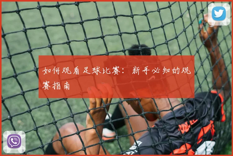 如何观看足球比赛:新手必知的观赛指南