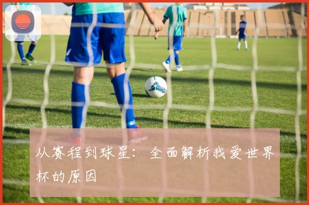 从赛程到球星：全面解析我爱世界杯的原因